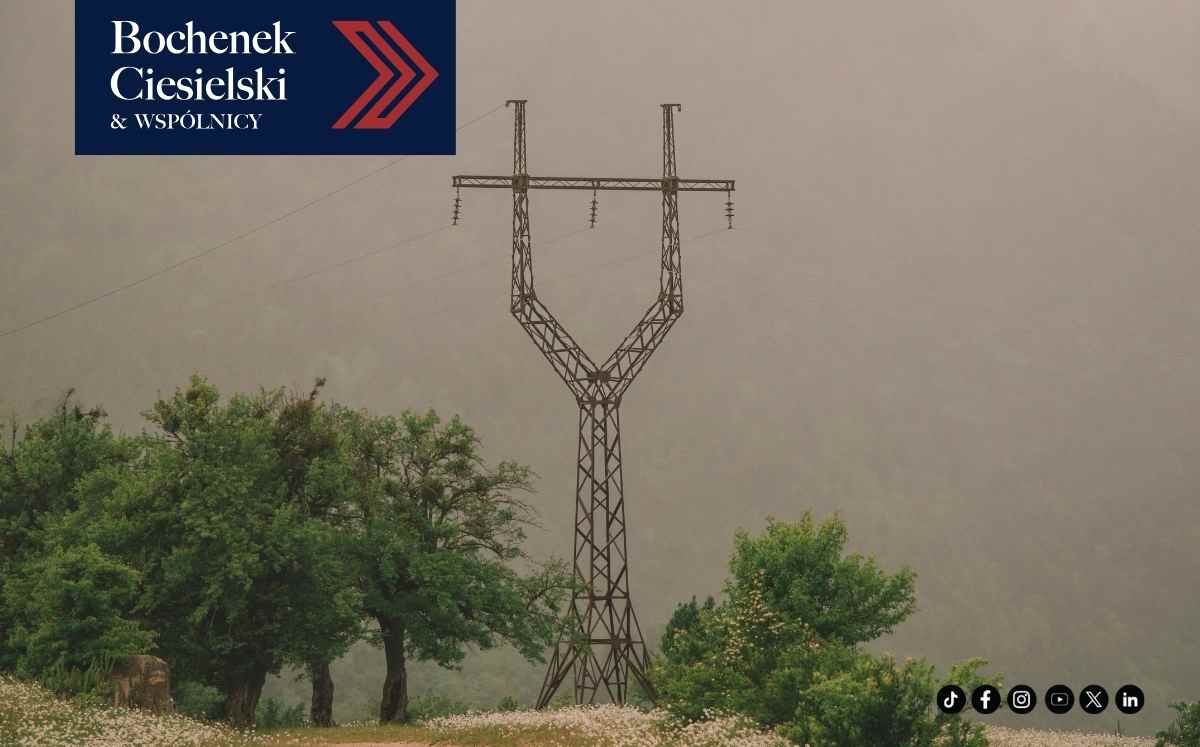 Słup energetyczny na działce wśród drzew i łąki przedstawiający infrastrukturę przesyłową