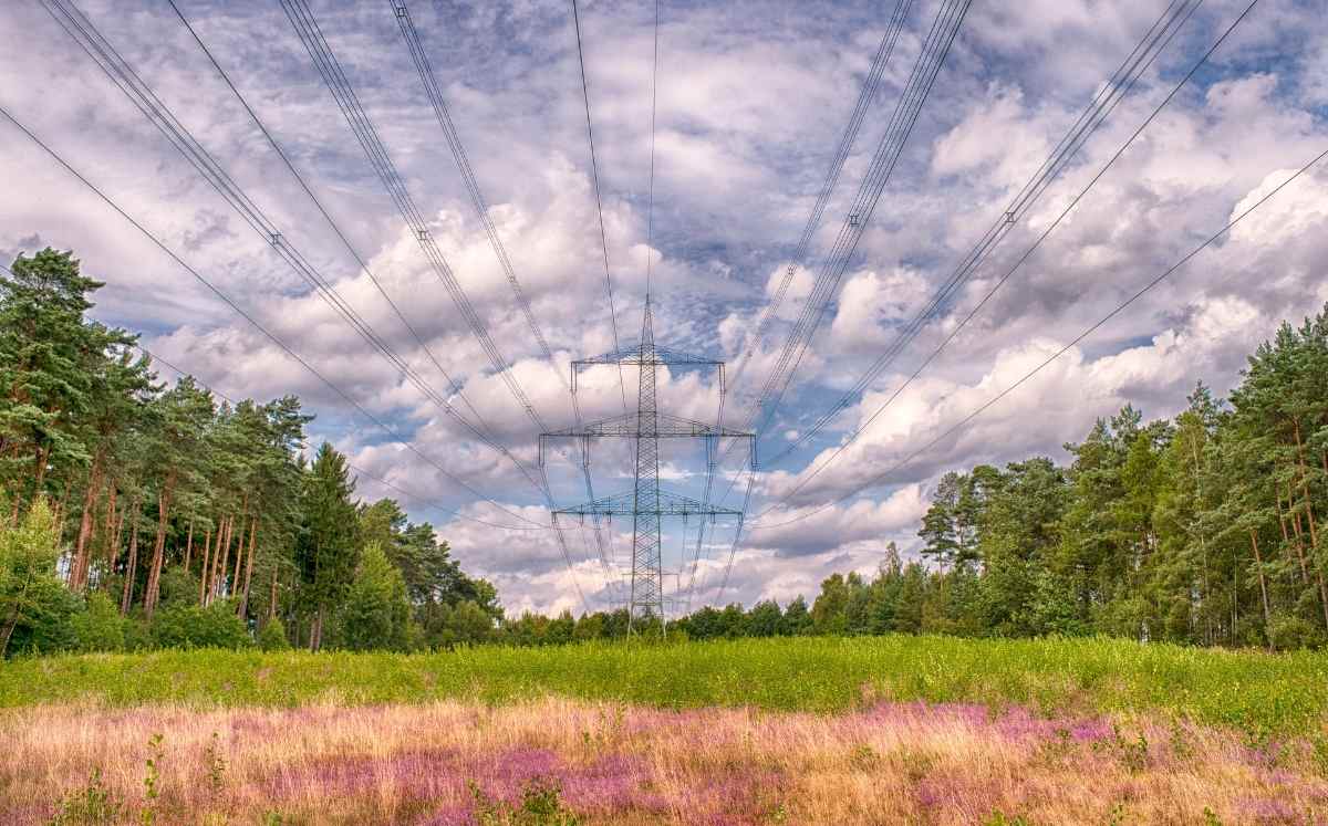 Linia elektroenergetyczna przebiegająca nad łąką i skrajem lasu pod pochmurnym niebem.