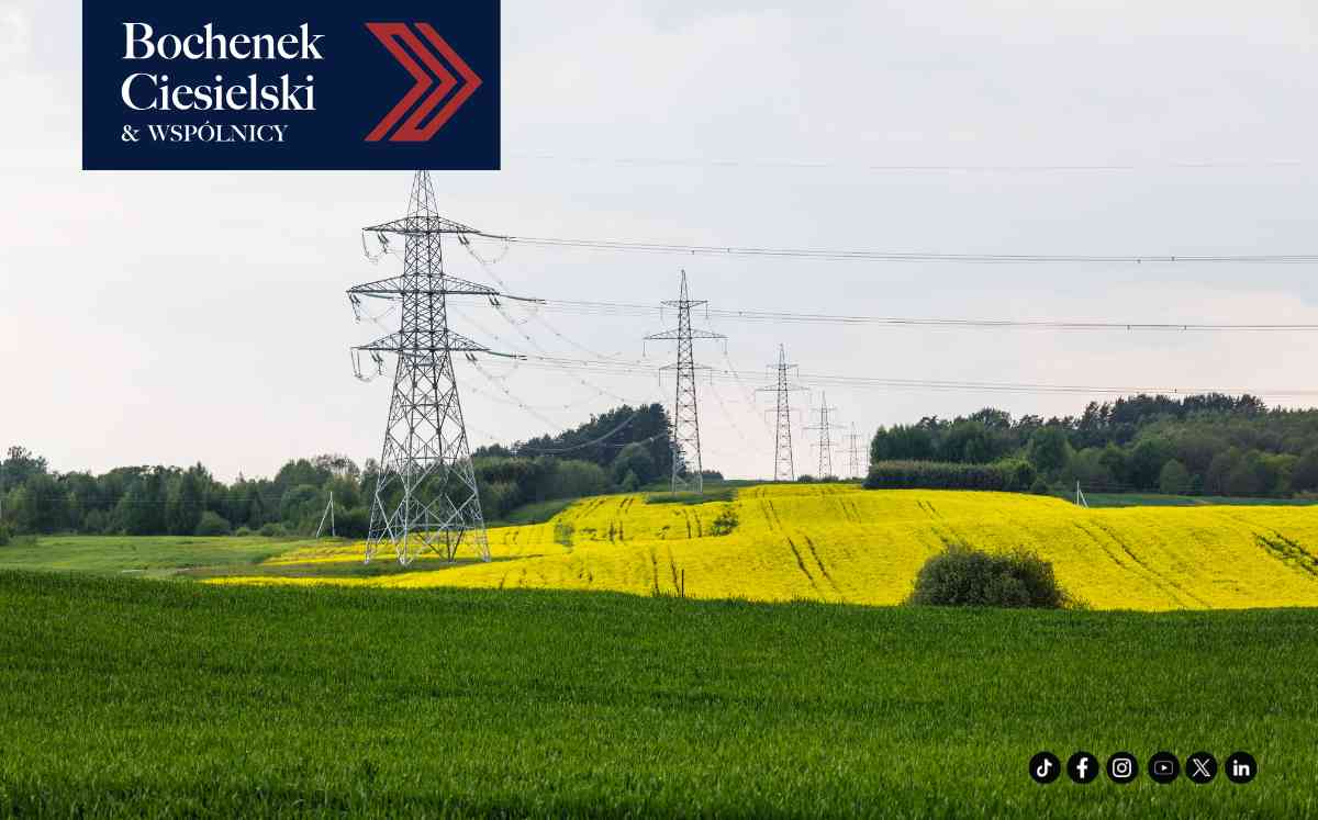 Wysokie stalowe słupy linii energetycznej na tle kwitnącego na żółto pola rzepaku