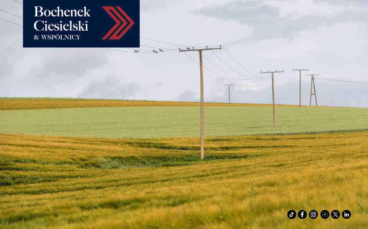 Drewniane słupy energetyczne na tle żółto-zielonych pól uprawnych