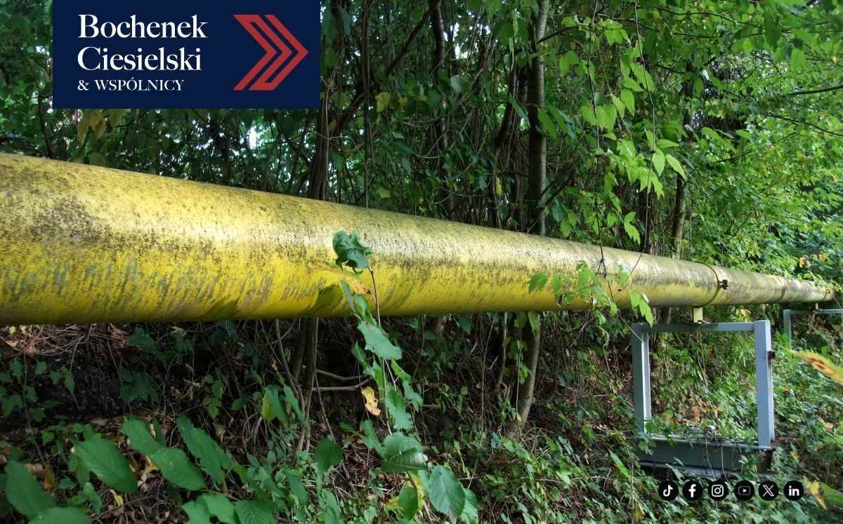 Gazociąg przebiegający przez teren leśny jako przykład infrastruktury przesyłowej na nieruchomości.