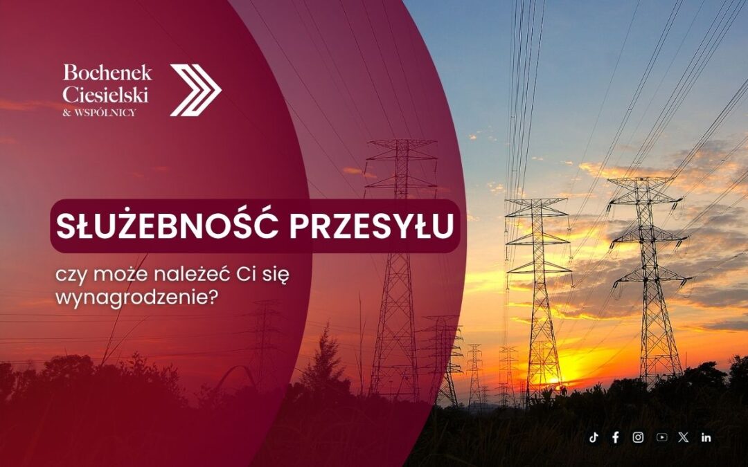 Zbliżenie na słupy elektryczne, pod którymi są drzewa, a w tle widać zachód słońca